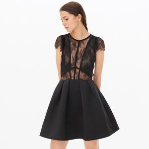 Sandro Davina Lace Dress, NWT